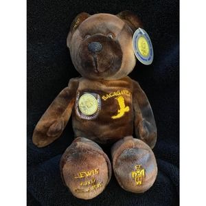 SACAGAWEA, Collectible DOLLAR BEAR from Timeless Toys - Great condition